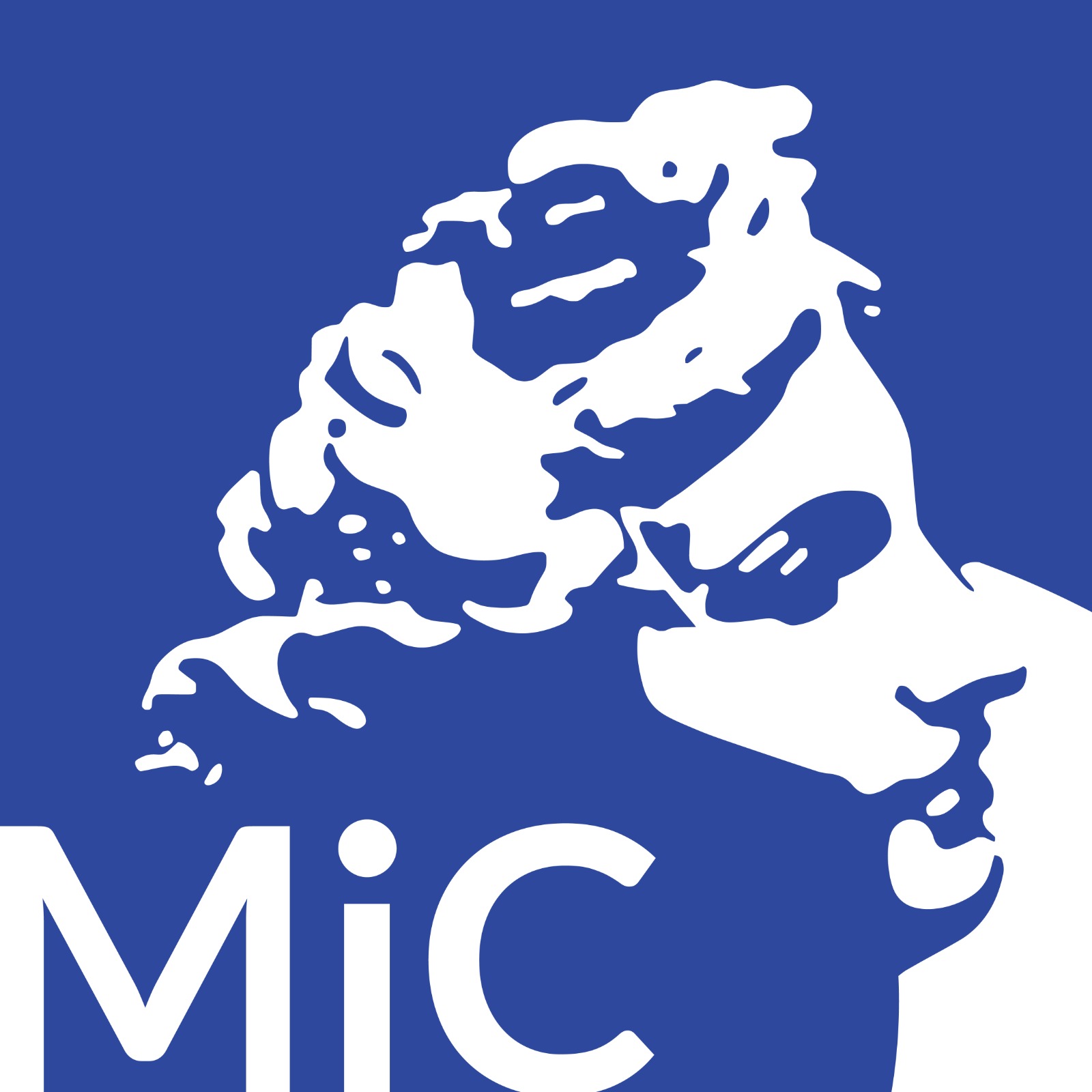 Logo MIC